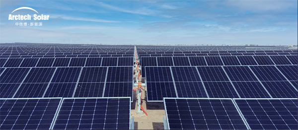 1629357527769596.jpg 03.jpg