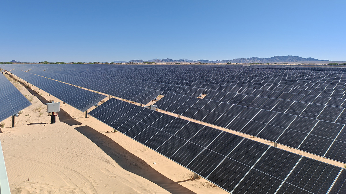 1723689210735618.jpg 01.jpg